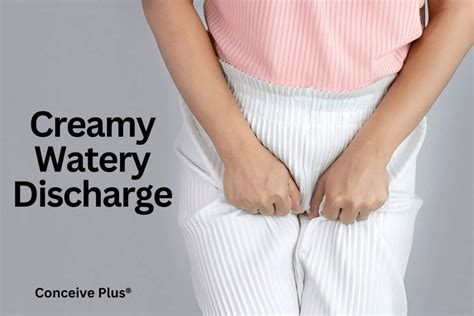 Creamy Watery Discharge: What It Means | Conceive Plus®