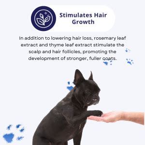 Buy Furryfix Natural Shed Control 2 in 1 Conditioner Shampoo for Dogs ...