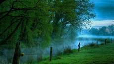 Nature Background Hd by Nature Wallpapers Hd Wallpaper Cave Nature Background Hd