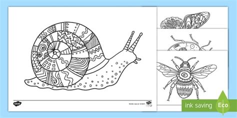 Feuilles de coloriage : Les petites bêtes