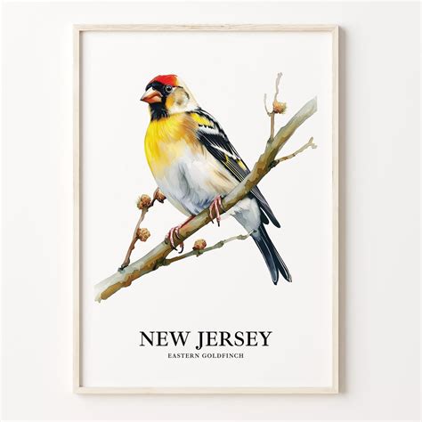 New Jersey State Bird and Flower Art Print, American Goldfinch and ...