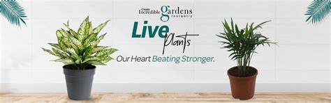 Gardencia Technology