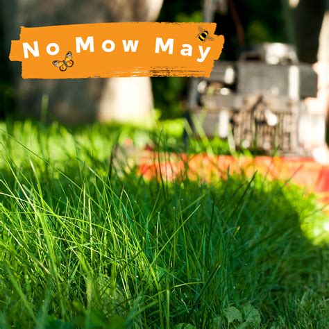 Blog — Deeply Rooted Landscapes