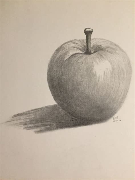 apple drawing with shading