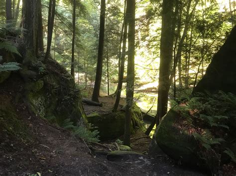 Old Man's Cave and Ash Cave via Buckeye Trail - Ohio | AllTrails