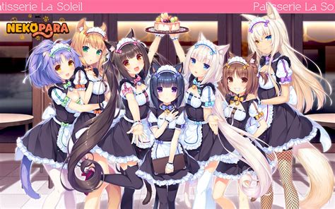 Image result for Edit exe Code Notepad
