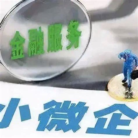 【金融政策】中国农业银行：小微企业法人信贷产品介绍_岷县_贷款_方式
