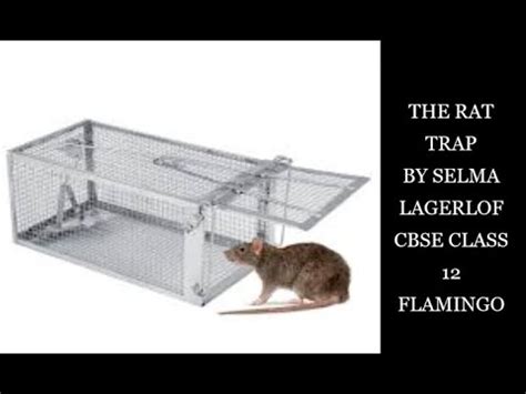 Image result for Class 12 Chapter Rat Trap