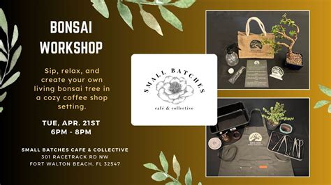 Dwarf Jade Bonsai Workshop, Fort Walton Beach, Small Batches, Fort ...