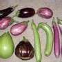 Image result for Mobile Development Using Java