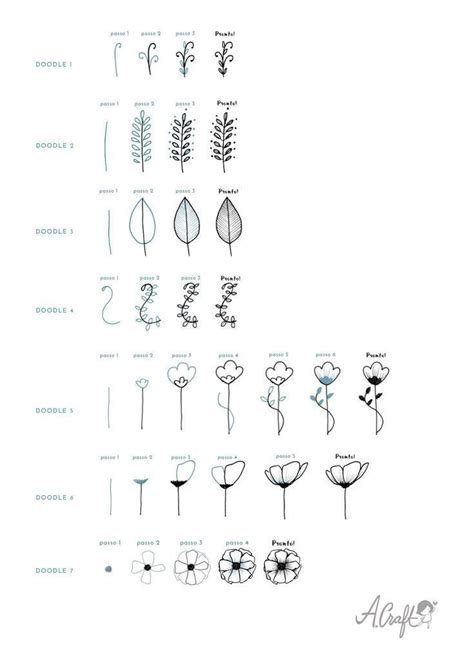 Image result for How to Draw Inflorescences