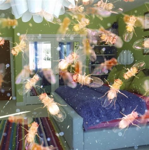 There’s Something in the Walls – The Sputnik