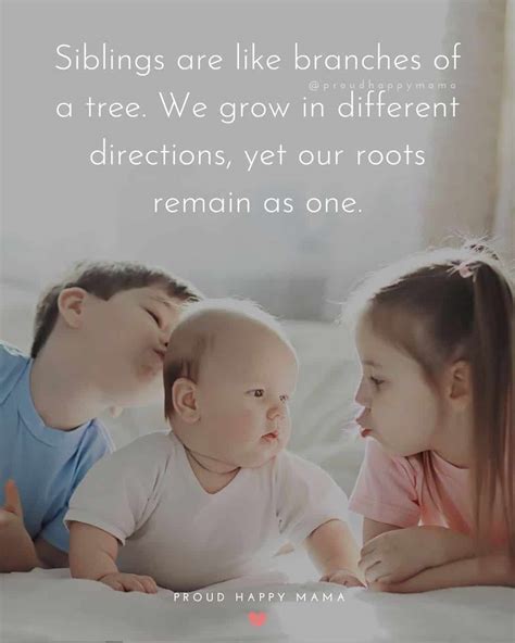 100 Quotes About Siblings And Their Bond (With Images)