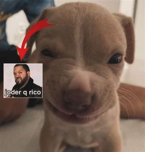 Tu papá : r/BeelcitosNSFW