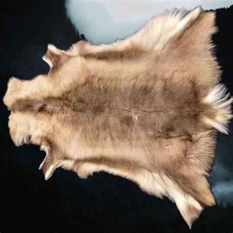 Animal Skins And Furs