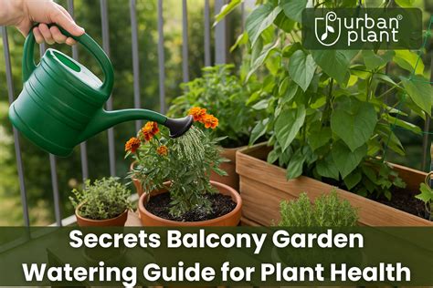 What Plants Like Urine? A Gardener’s Guide To Safe Use