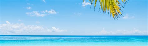 Download wallpaper sea, beach, summer, nature, Palma, section ...