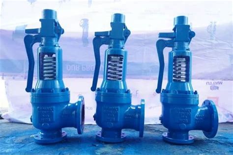 Safety Valve - Safety Valve NON IBR Manufacturer from Ahmedabad