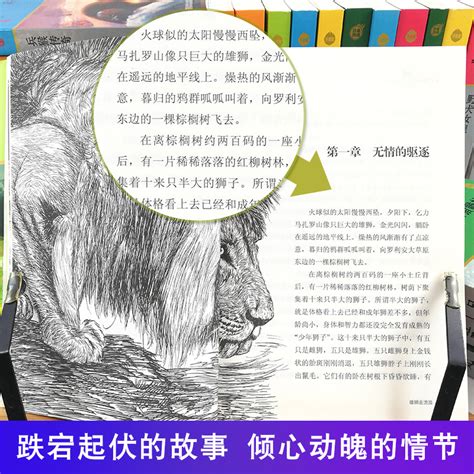 沈石溪动物小说系列-插图_樊安安-站酷ZCOOL