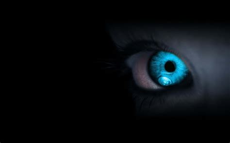 Download Intense Gaze - Piercing Blue Eyes Close-Up | Wallpapers.com
