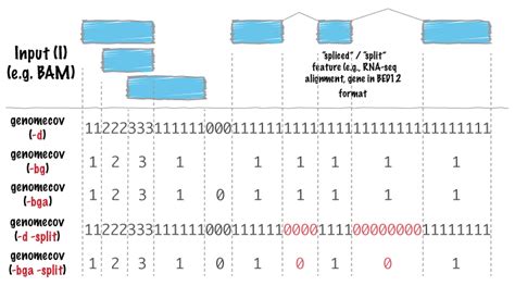 Image result for Quinlan Lab BEDTools Tutorial