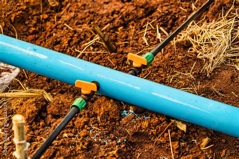 灌溉 的图像结果