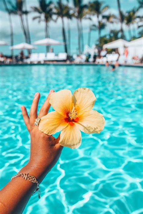aesthetic photos summer