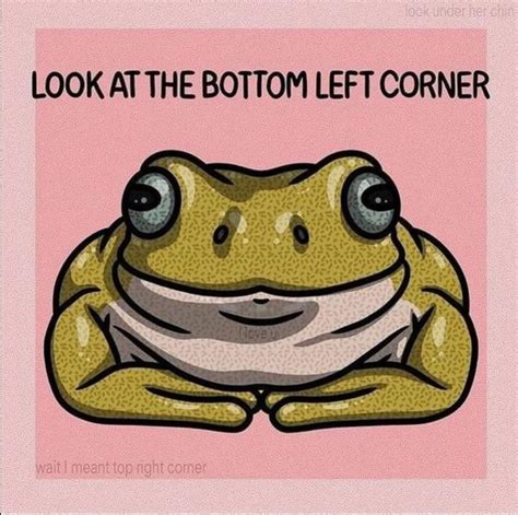 Funny Animal Jokes, Cute Funny Animals, Animal Memes, Funny Cute, Cute ...