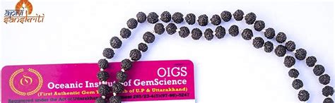 Apnisanskriti Black Rudraksha Mala (4 mm, Rarest Zero Size, Neck Length ...