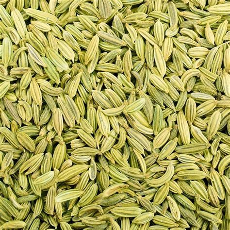 Raj Organics Fennel Seeds Whole Sabut Saunf Edible | Aniseed Whole (500 ...