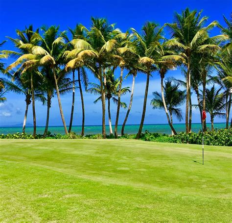 PALMAS DEL MAR GOLF CLUB (Humacao) - 2023 What to Know BEFORE You Go