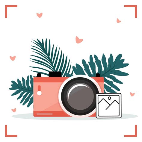 Camera Illustration 的图像结果