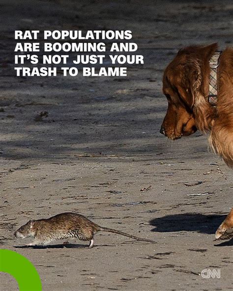 CNN | President-elect Donald Trump has vowed to act quickly on ...