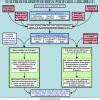 flow chart of different dynasties and rulers of Delhi Sultanate ...