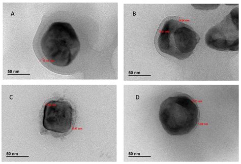 Comparative Study of Polymer-Grafted BaTiO3 Nanoparticles Synthesized ...