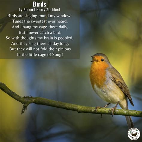 Bird Poems - Birds – Grateful Gnome