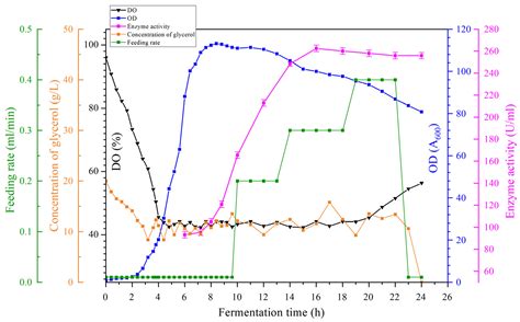Bioreactor Design Optimization Using CFD for Cost-Effective ACPase ...