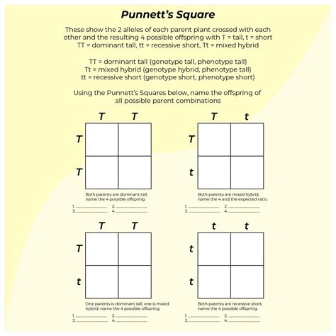 Blank Punnett Square Worksheet