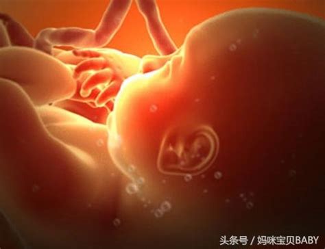 懷孕十三周胎兒長多大啦？孕媽媽是不是就進入安全期了 - 每日頭條