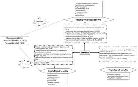 The Preventive Role of Exercise on the Physiological, Psychological ...