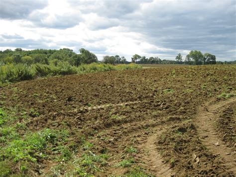 Image result for HEC-RAS Analysis