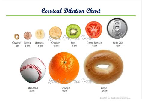 Cervix Dilation Chart: Stages Of Labor And What To Expect, 42% OFF