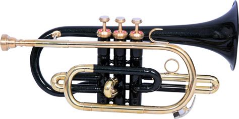Image result for Cornet Musical Instrument