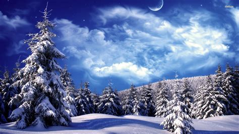 Winter Wonderland Backgrounds (41+ images)