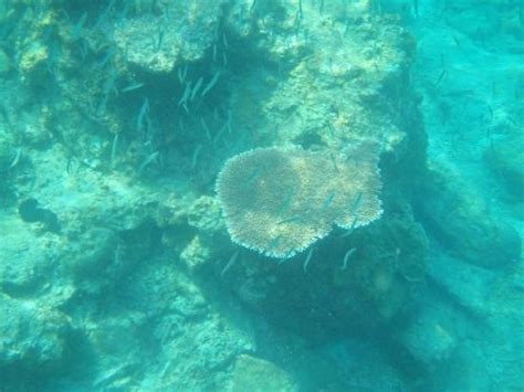 Pulau Lang Tengah Tourism: All You Need to Know Before You Go (2025)