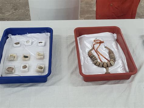 Remains found at Lothal put on display as part of Heritage Week - when was lothal discovered