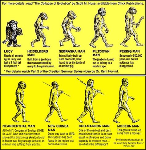 Evolution Theory 的图像结果