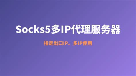 Setup Socks5 的图像结果