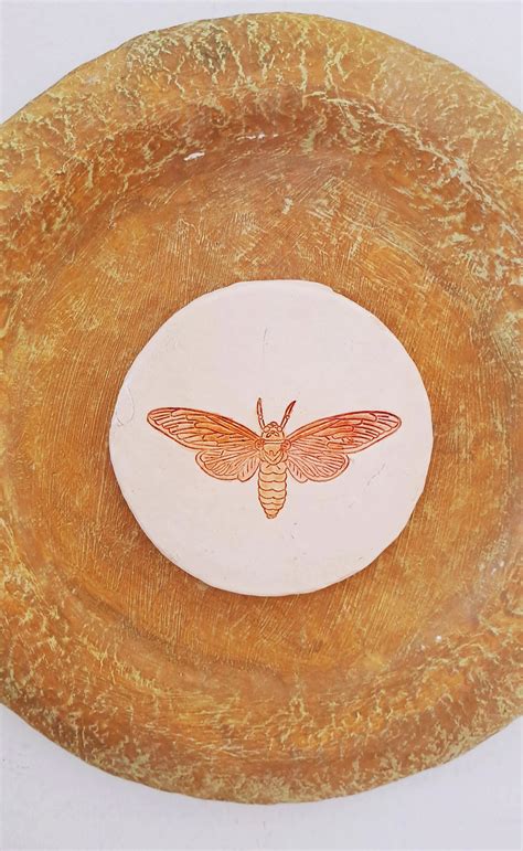 Papier-mache Wall Plates-Moth – aranya earthcraft