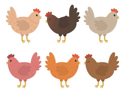 Cute Chicken Illustration